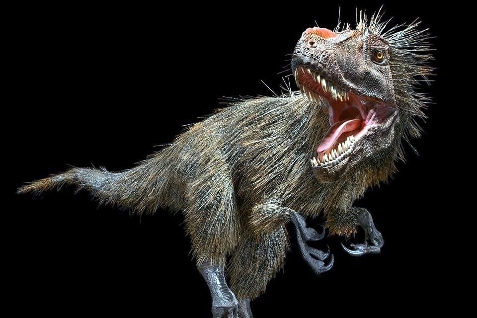 ¿Cómo se veían realmente los dinosaurios?